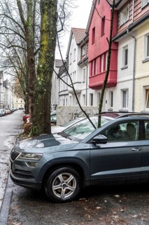 North Rhine-Westphalia, Germany, storm damage, a good 4 metre long branch was broken off by the