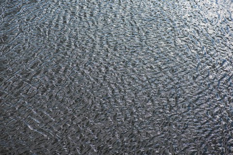 Structures of a water surface from the Main, Kitzingen, Lower Franconia, Bavaria, Germany, Europe