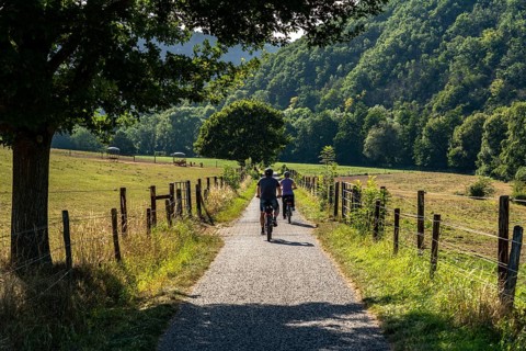 Landscape in the Rureifel, Rural, Cyclist, near Nideggen, District of Düren, North