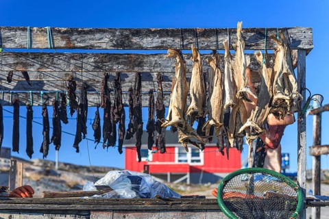 Dried fish, seal meat, whale meat, Inuit settlement, Ittoqqortoormiit, East Greenland, Greenland,