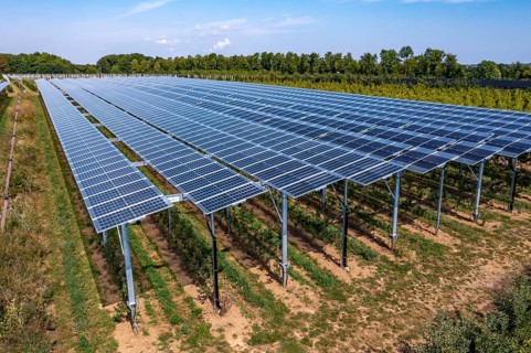 Agri-photovoltaic test plant, an apple orchard with two different systems of PV modules was roofed