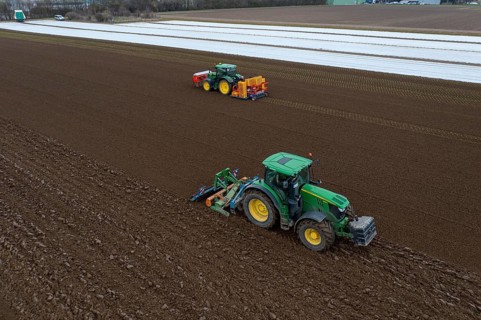 Lettuce plants are planted with a planting machine, tractor with roundabout harrow prepares the