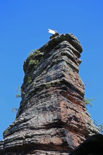 The Jungturm in the Palatinate Forest, a popular climbing rock in the Southern Wine Route