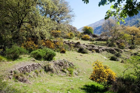 Landscape of the River Rio Poqueira gorge valley, High Alpujarras, Sierra Nevada, Granada Province,