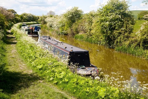 Kennet and Avon canal stretch between All Cannings and Alton Barnes, Vale of Pewsey, Wiltshire,