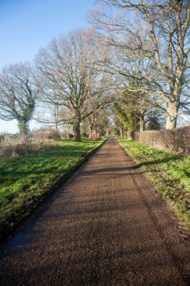 Landscape of long straight road passing trees in winter, Sutton, Suffolk, England, United Kingdom,