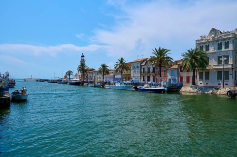 Coastal town with colourful houses and palm trees, boats in the water, on a sunny day, summer, Le