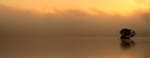 Sunrise at the Edersee with morning mist on the water, small island in the Eder dam, Ederstausee,