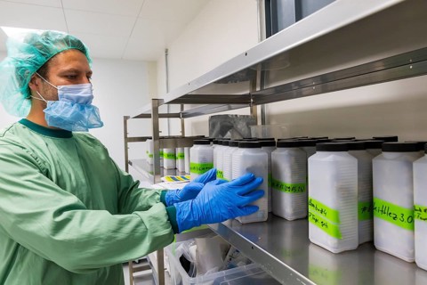 DEU/Saxony/Ebersbach The Saxon cannabis producer Demecan is now the first German company to be