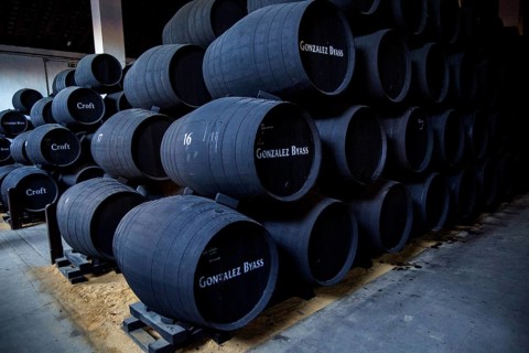Oak barrels of maturing sherry wine cellar, Gonzalez Byass bodega, Jerez de la Frontera, Cadiz