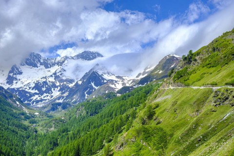 Mountain landscape in the Passeier Valley near Rabenstein above moss in Passeier, South Tyrol,