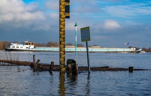 High water on the Rhine, Flooded banks of the Rhine, Rhine meadows near the village of Grieht,