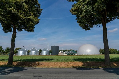 Biogas plant, storage silos, large buffer tank for hot water for intermediate energy storage,
