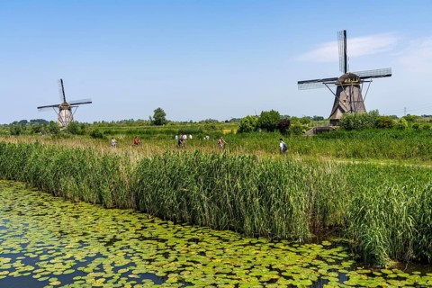 Kinderdijk, 18 windmills designed to pump water from the polders to utilise the land, one of the