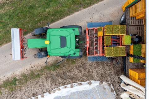 Lettuce plants are planted with a planting machine, loading the planting machine, agriculture,