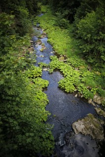 The Selbitz river flows through the Höllental valley between Thuringia and Bavaria. Lichtenberg, 21