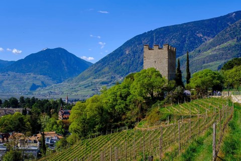 Powder tower, on the Tappeinerweg, Merano, South Tyrol, Italy, Europe