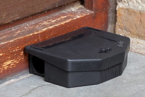 Poisoned plastic box for pest control, mouse bait station filled with rodenticide, poisonous paste