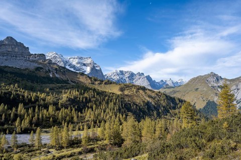 Mountain panorama with steep rocky peaks, yellow-coloured larches in autumn, view of Laliderspitze,