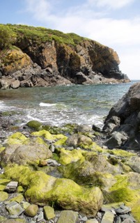 Rocky cove at Cadgwith, Lizard peninsula, Cornwall, England, UK