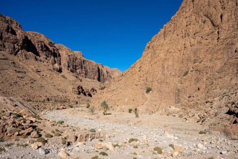 Todra Gorge or Gorges du Toudra, near Tinghir, Morocco, Africa