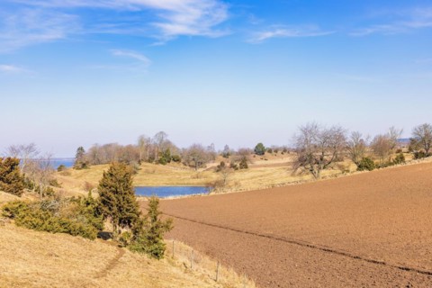 Newly sown fields in an cultivated rolling landscape at springtime
