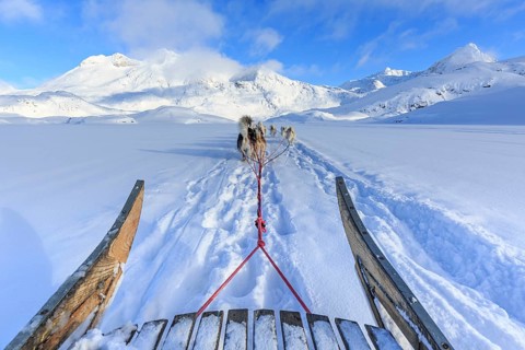 Sled dog ride for tourists in the Arctic, winter, Ammassalik district, East Greenland, Greenland,