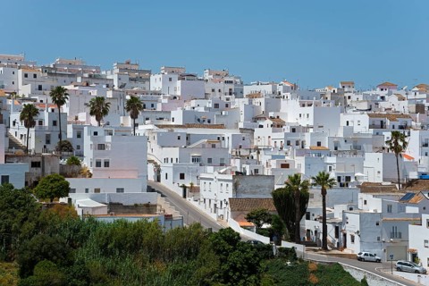 City panorama with densely built white houses and palm trees on a hill, New Town, Vejer de la