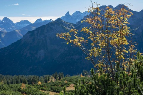 Autumn in the Allgäu, mountain panorama from Fellhorn 2037m, on Großer Krottenkopf, 2656m and