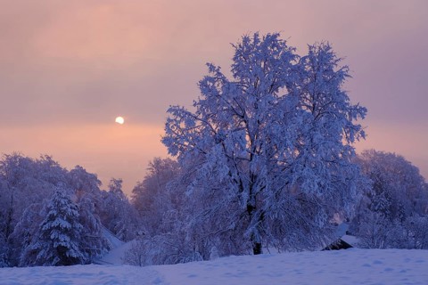 Sunrise with hoarfrost in winter, at the Schlossberg, Eurasburg, Loisachtal, Upper Bavaria,