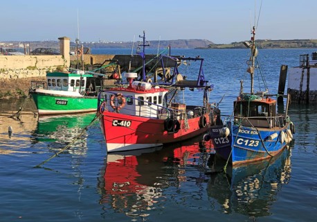 Fishing boats in the harbour at Cobh, County Cork, Ireland, Irish Republic, Europe