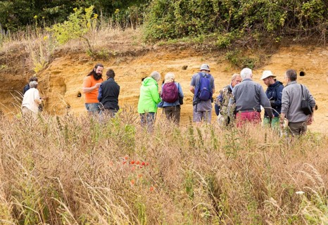 Geology fieldtrip at Sutton Knoll SSSI, Rockhall Wood Pit, Sutton, Suffolk, England, UK