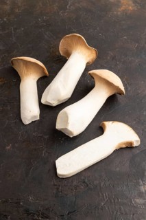King Oyster mushrooms or Eringi (Pleurotus eryngii) on black concrete background. Side view