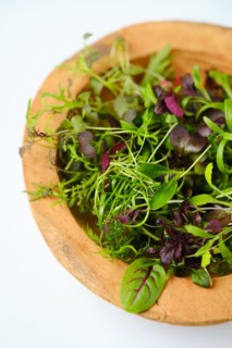 Top view of wooden bowl with different microgreens on white background