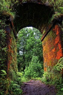 A moss-covered historic aqueduct Muro das Nove Janelas with rustic arches in the forest, crater