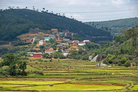 Rural village and Malagasy farmers working on terraced rice field in the Alaotra-Mangoro Region,