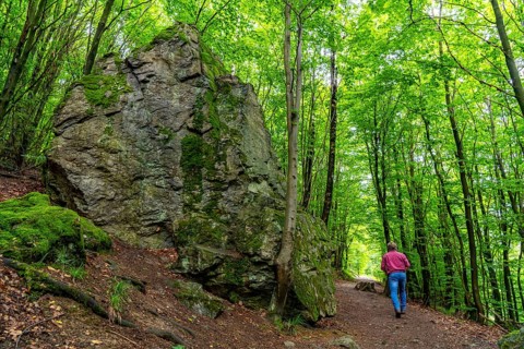 Forest below the Bruchhauser Steine, rocks that have travelled down the slope over the last ten