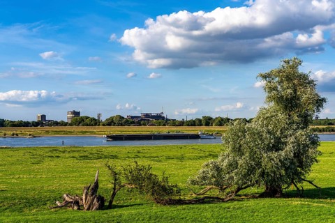 Rhine meadows near Duisburg-Baerl, on the other side of the Rhine the Thyssenkrupp Steel steelworks