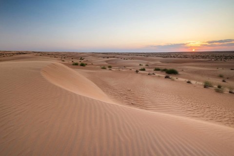 Sand dunes at sunset, Wahiba Sands desert, Sharqiya sand, Oman, Asia
