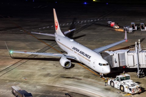 A Boeing 737-800 aircraft of Japan Airlines JAL with the registration JA316J at Tokyo Haneda