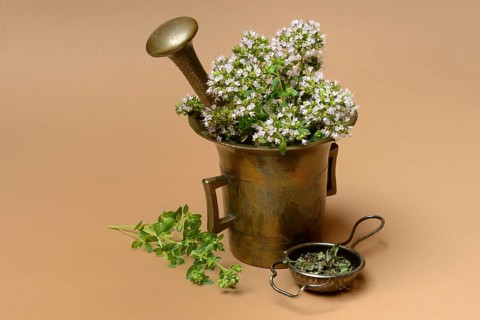 Flowering oregano in a mortar and dried oregano in a tea strainer, Origanum vulgare