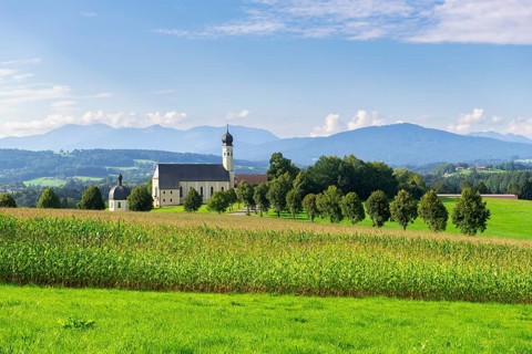 Pilgrimage church of St Marinus and Anian in Wilparting, cornfield, avenue, meadow, municipality of