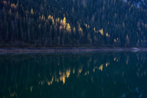 The lakeshore at Vorderer Gosausee in the morning in autumn. Sun spot on yellow larches. Reflection