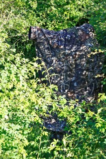 Nature photographer in camouflage at work, camouflage net in a dense bush surrounded by green
