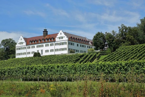 Baroque Hersberg Castle with vineyards, Immenstaad, Obersee, Lake Constance, Lake Constance region,