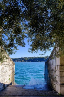 Access to the water, olive tree, lakeside promenade, Lungolago, lakeside promenade, Salo, Lake