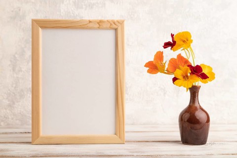 Wooden frame with orange nasturtium flowers in ceramic vase on gray concrete background. side view,