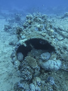 Mast on the wreck of the Carnatic, Red Sea, Egypt, Africa