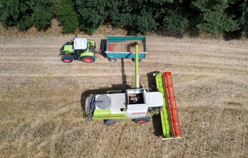 Aerial view of combine harvester harvesting grain on an organic farm, Müncheberg, 28/07/2020