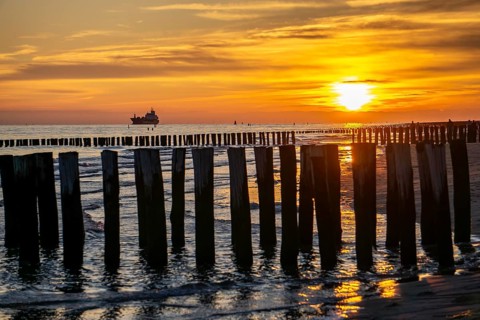 Sunset on the beach of Zoutelande, beach with wooden pile breakwaters, cargo ship sailing towards